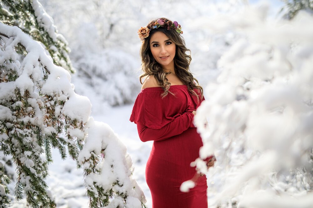 photo ppred dress winter maternity pose ideas chicago maternity photographer session