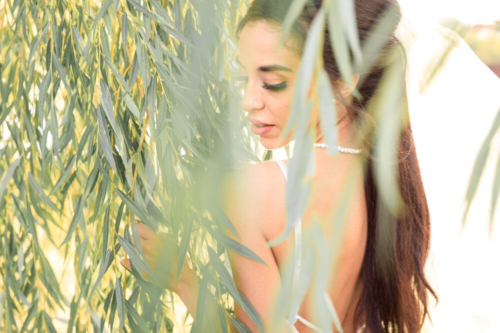 bride embraced by a weeping willow tree wedding day photography