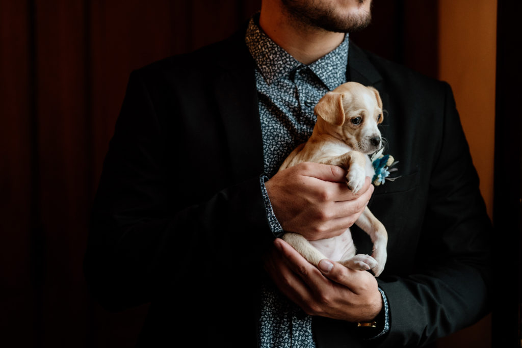 The Haight | Styled Wedding Shoot | Puppies | Chicago weddings