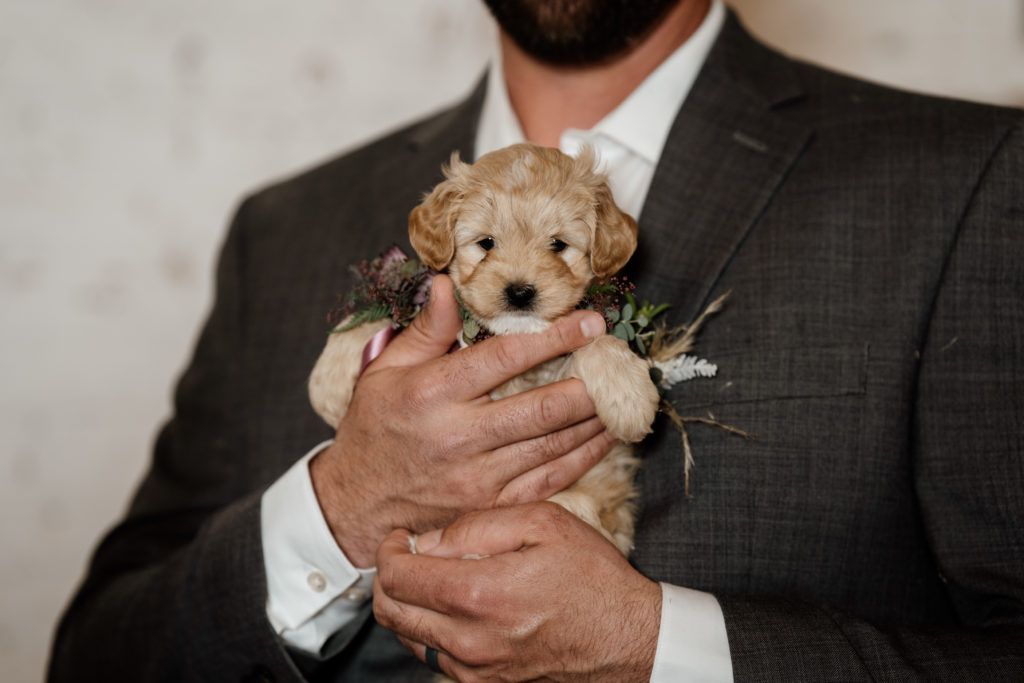 Missy & Mike | Sanctuary Events | Puppies