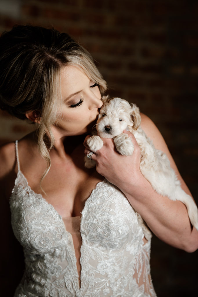 Missy & Mike | Sanctuary Events | Puppies