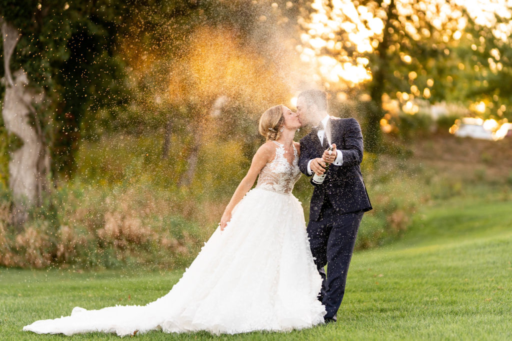 The Wedding of a Beautiful couple in Tinley Park