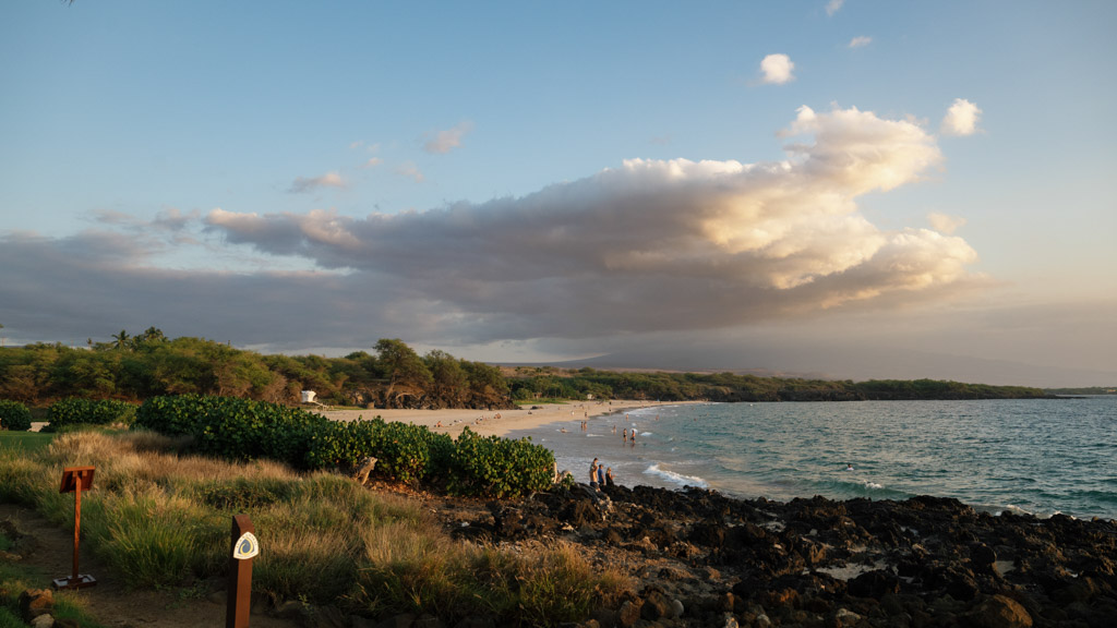Hawaii Wedding