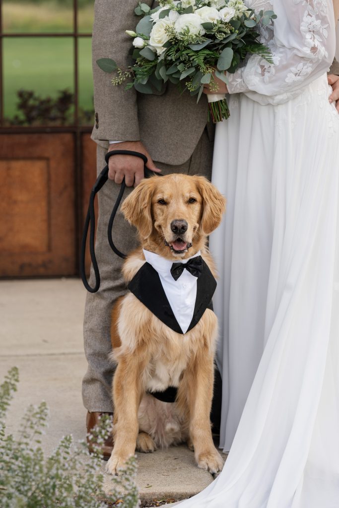 Marissa and Chris Wedding