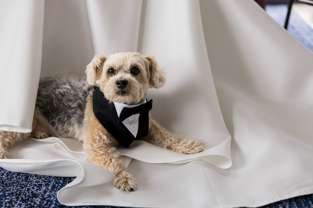 Morgan Manufacturing Wedding