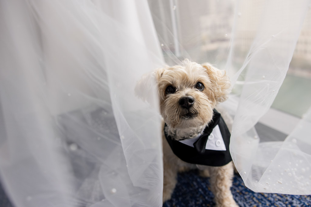 Morgan Manufacturing Wedding