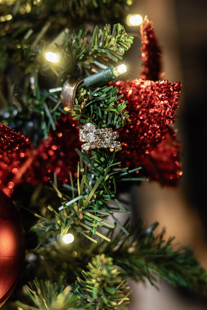 Hilton Chicago Winter Wedding