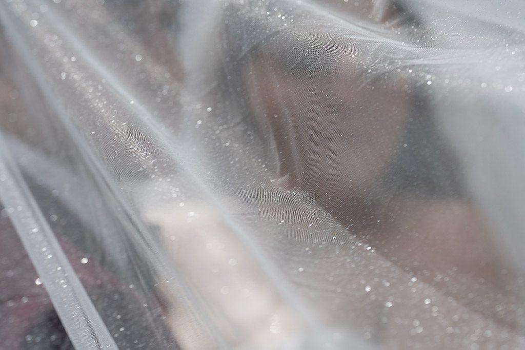 Drake Chicago Wedding