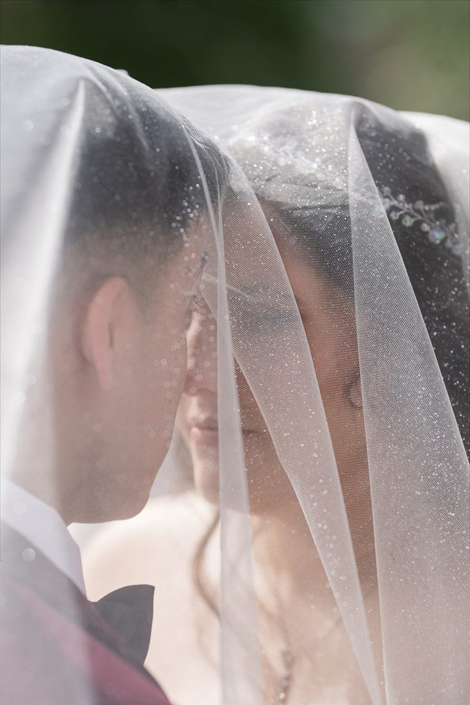 Drake Chicago Wedding